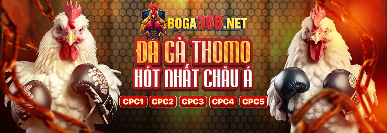 Hướng dẫn các bước đặt cược tại 68wim win
